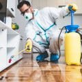 Expert Tips for Choosing the Best Pest Control Company in Los Angeles