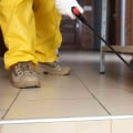 Choosing the Best Pest Control Company in Phoenix