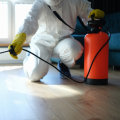 The Most Effective Pest Control Methods: An Expert's Perspective