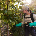 The Evolution of Aptive Environmental: Leading the Way in Pest Control