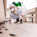 The Evolution of Pest Control: From Traditional Methods to Modern Techniques