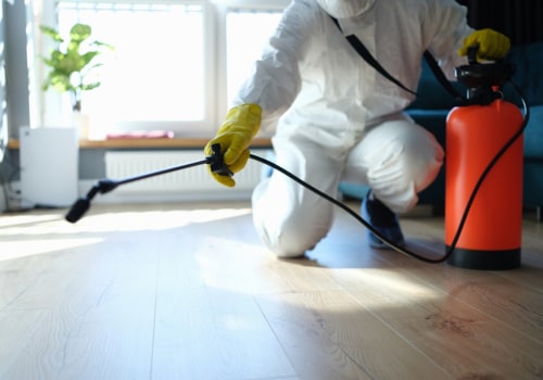 The Best Pest Control Methods for a Pest-Free Home